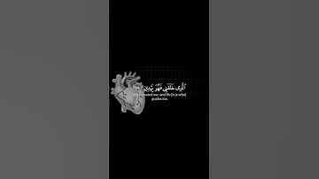 راحة نفسية #القرآن_الكريم #القارئ #ياسر_الدوسري #quran
