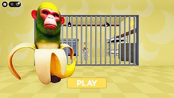 Chimpanzini Bananini