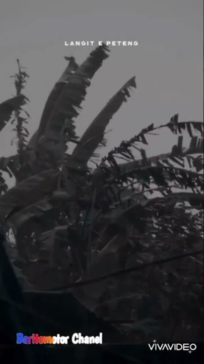 Klebus Status Wa cover || Denny caknan || Info ati Sing Liyo😁😁