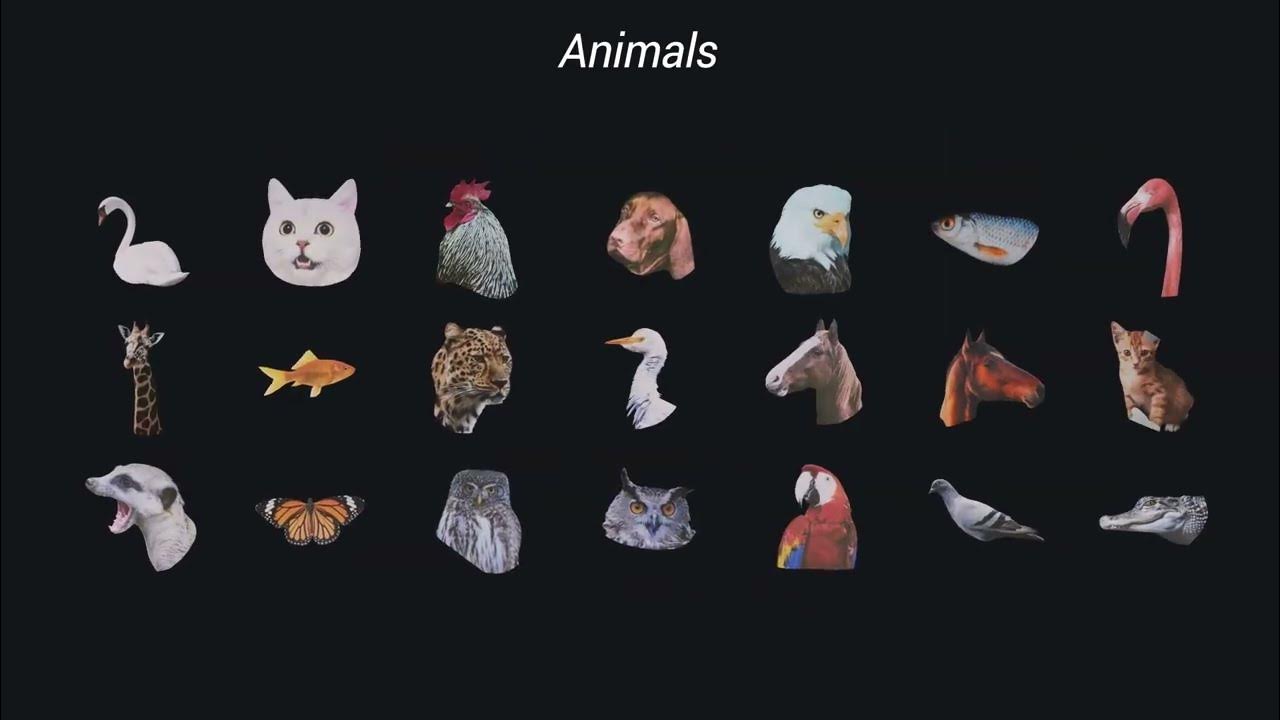 Collage Kit Constructor After Effects Template YouTube