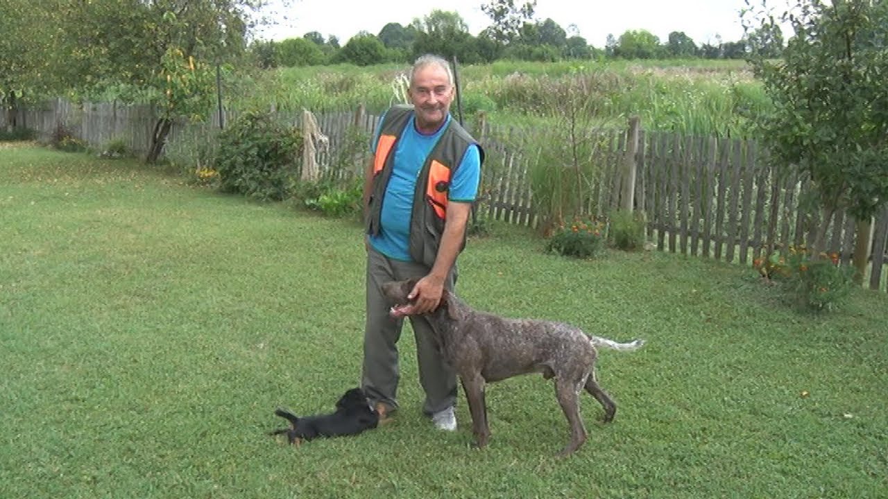 Zadatak i uloga lovačkog psa