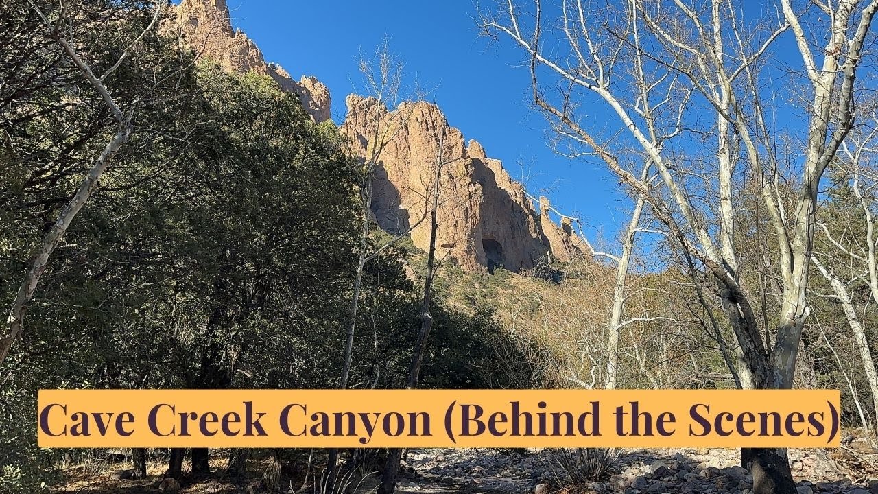 Javelina, Deer, Caves & Waterfalls in Magnificent Cave Creek Canyon, Chiricahua Mountains!