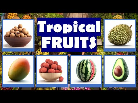 Flashcards: Tropical Fruits