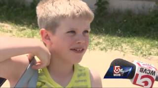 Trees cut down by vandals in South Boston