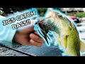 Hopping 40-Foot Ledges?! I Home Lake Bassin' (Snagged Fish)