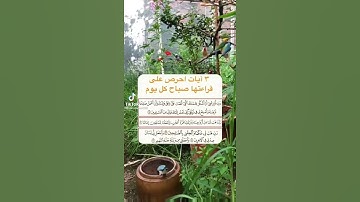 3 آيات احرص على قراءتها كل صباح ☀️