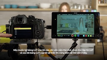 6 Lumix GH5   How to use V LOGL View Assist