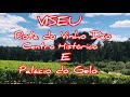 TOUR POR VISEU - Rota do Vinho Dão, Centro Histórico e o Palácio do Gelo - Portugal 🇵🇹 2020