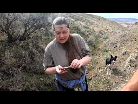 IDAHO GEM STONES & CRYSTAL HUNTING