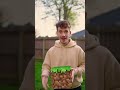 minecraft in real life - digging for bones
