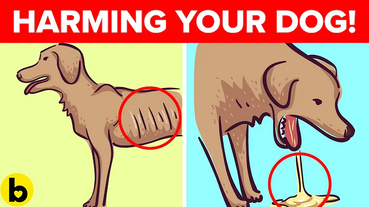 6 Common Things You Didn’t Realize Were Killing Your Dog! - DayDayNews