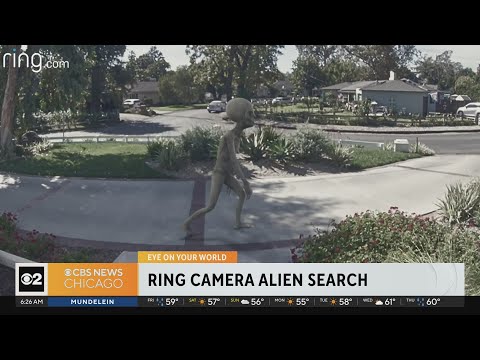 Ring Camera alien search underway