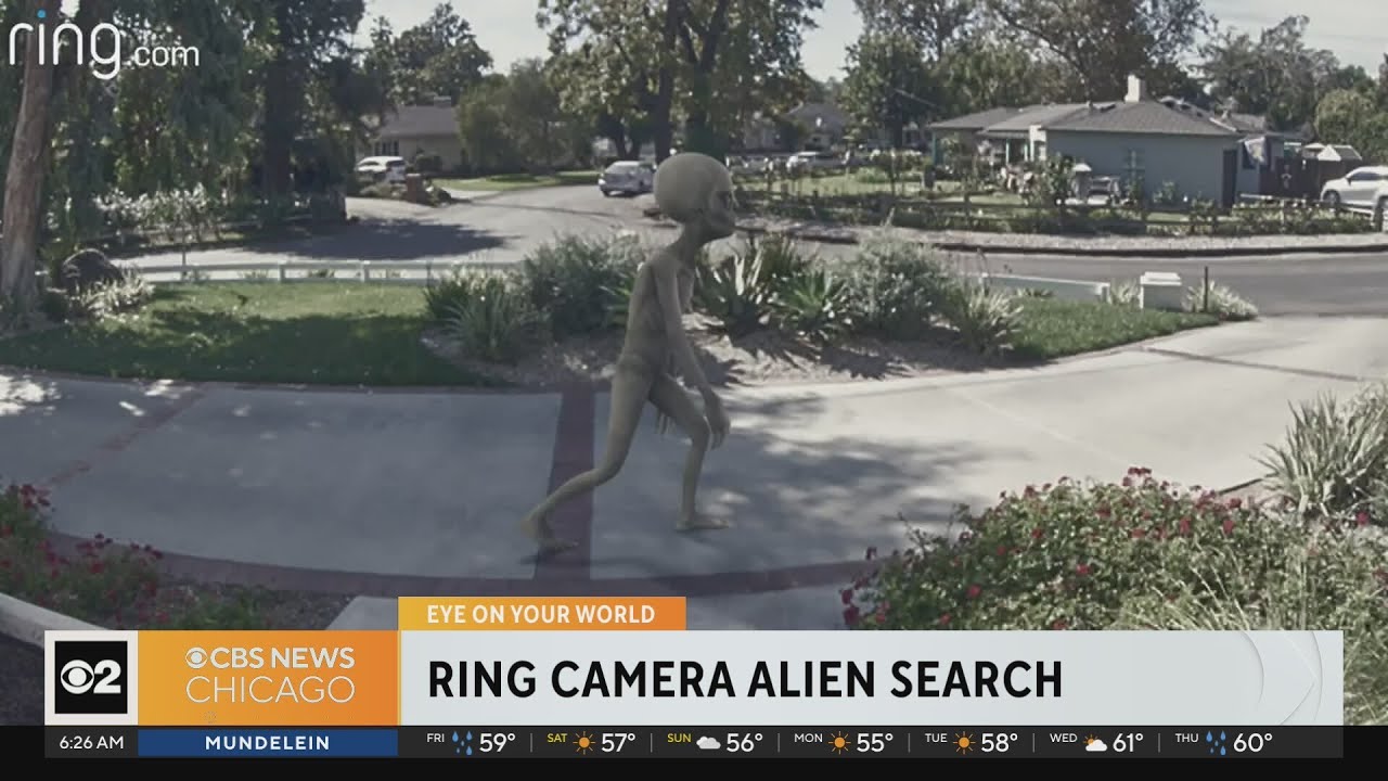 Ring Camera alien search underway