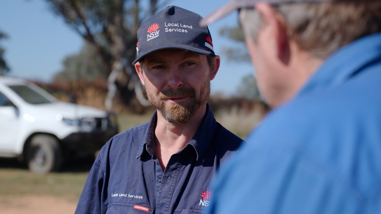 Feral pig management case study: Royalla Shorthorn Beef, Yeoval