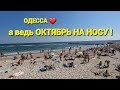 ОДЕССА ❤️ сегодня ПЛЯЖИ ЗАПОЛНЕНЫ❗️РЕЦЕПТ ВКУСНЯШКА В ЛАВАШЕ ❗️ИНЖИРЫ В САДУ ❗️