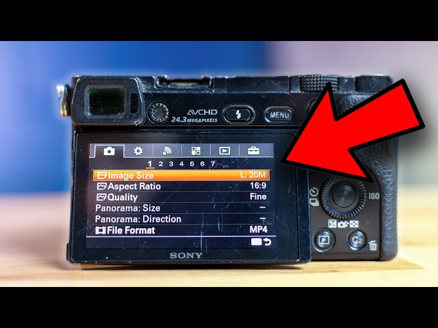 Sony a6000 Photography Settings - (Most Important Settings 2021) 