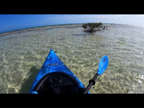 Kayaking in Nassau, Bahamas