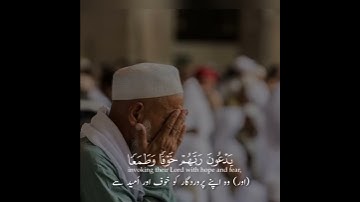 Surah Sajdah | سورة السجدة abdulrhman mosad | القارئ عبدالرحمن مسعد