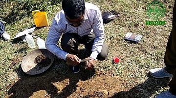 Bulk density of soil profile