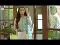 Watch Mein Hari Piya - Shadi Ki Shopping - ARY Digital Drama Online In Hd