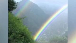 Realistic Simulations Explain Physics of Rainbows