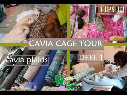 Video: Hoe een C & C Cavia Cage te bouwen