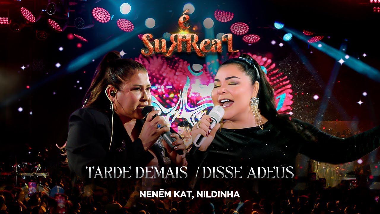 Neném Kat  e Nildinha - Tarde Demais / Disse Adeus - NENÉM KAT É SURREAL