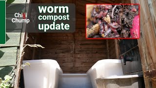 Overheating worms! Vermicompost update.