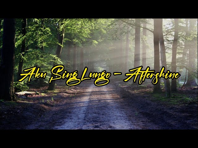 Aku Sing Lungo - Aftershine (lirik) #liriklagu class=