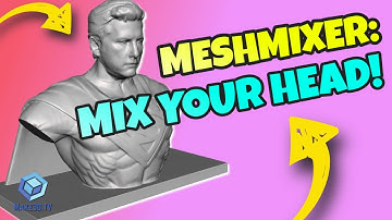 Meshmixer Details from How to 3D Print Your Head: A Tutorial on Merging 3D Objects for 3D Printing