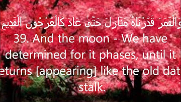 Sheikh Salah Bukhatir (سورة يس)- Surah Yasin صلاح بو خاطر (ARABIC+ TRANSLATION)!