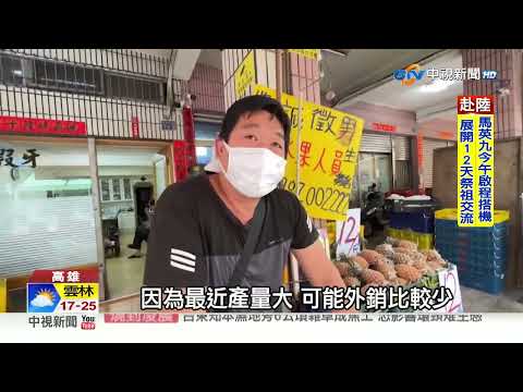 外銷出不去鳳梨價崩?! "3顆50元"堆成山 農民怨:慘賠!│中視新聞 20230327