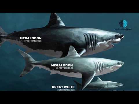 5 مخلوقات غريبة تم التقاطها بالكاميرا