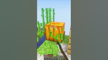 This server is better than Hypixel Skyblock
