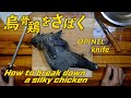 烏骨鶏をさばく！オピネルで！旨い肉に！
