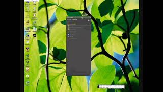 Running Steam On Windows Longhorn Build 4074