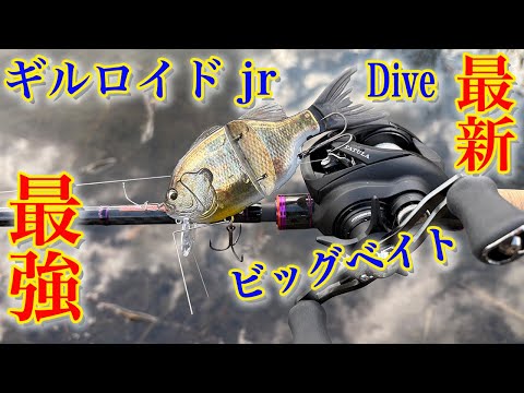最新 最強 ビッグベイト【ギルロイド jr ダイブ】凄かったです！！