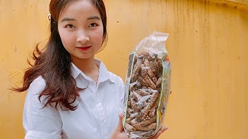 CHUỐI HỘT RỪNG CÓ THỂ CHỮA BỆNH GÌ - THẢO DƯỢC BẢO KHÁNH