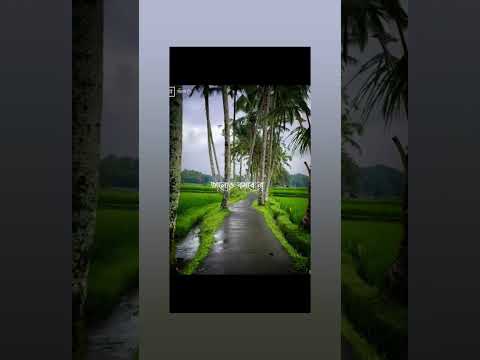 #banglasong