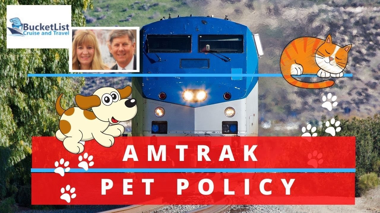 Amtrak Pet Policy - Can You Take Your Dog Or Cat?  What Are The Rules?