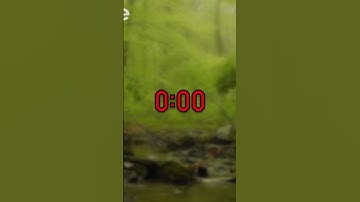 10 Seconds Timer with Nature Sounds - Countdown Timer