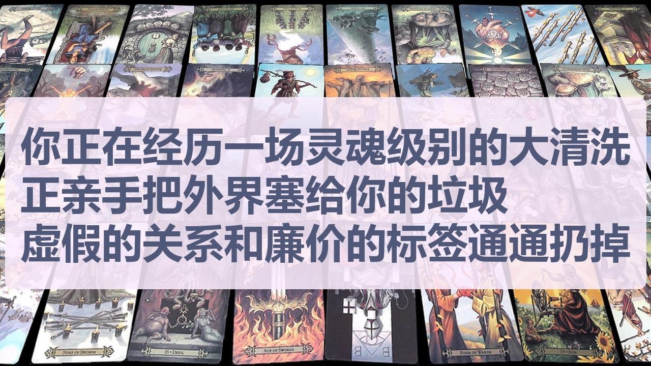Tarot✨你正在经历一场灵魂级别的大清洗，正亲手把外界塞给你的垃圾、虚假的关系和廉价的标签通通扔掉