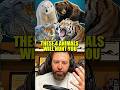 These 4 Animals Will Hunt You