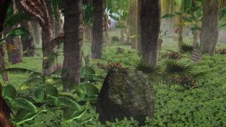 FREE 3D RAIN FOREST FOOTAGE HD.