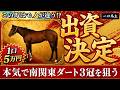 【一口馬主】この馬は“モノが違う!?”日高の秘密兵器に10口出資しました【ユニオン】