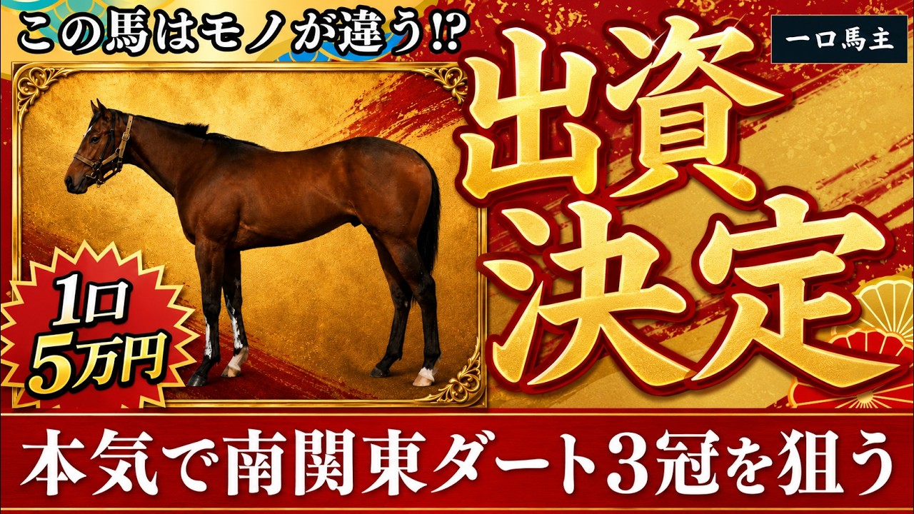 【一口馬主】この馬は“モノが違う!?”日高の秘密兵器に10口出資しました【ユニオン】