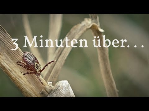 3 Minuten über...