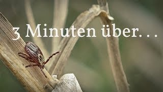 3 Minuten Über... Zecken