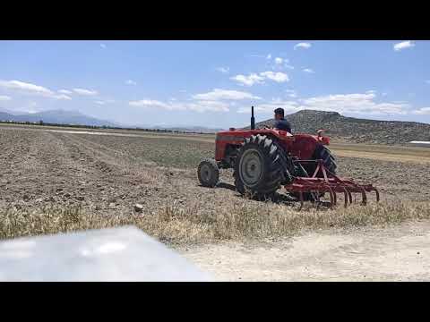 Massey Ferguson 265s kazayağı sürümü kültivatör