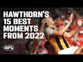 Hawthorns 15 best moments from 2022  afl